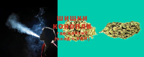 ПСИЛОЦИБИНОВЫЕ ГРИБЫ Россошь